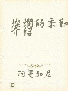 灿烂的季节剧情介绍