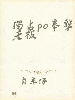 独占po拳击馆老板