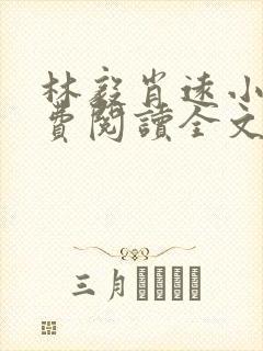 林毅肖远小说免费阅读全文最新章节