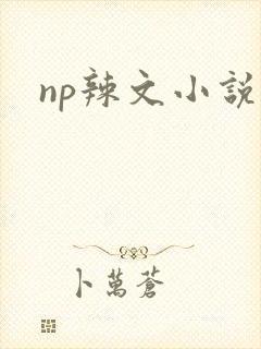 np辣文小说