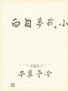 白日梦我小说