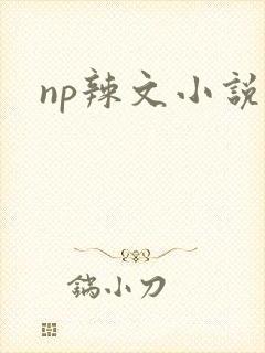 np辣文小说