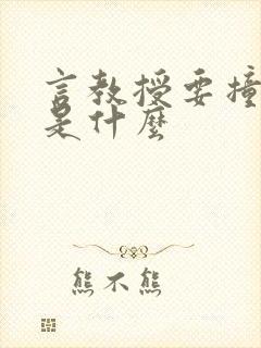 言教授要撞坏了是什么