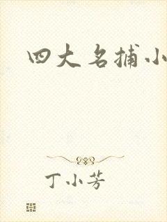 四大名捕小说