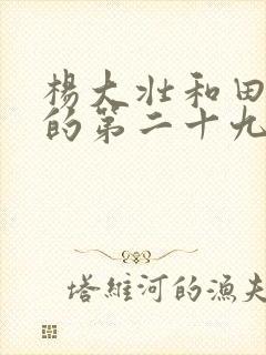 杨大壮和田桂花的第二十九