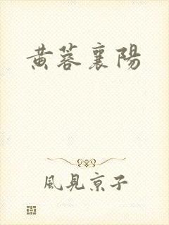黄蓉襄阳