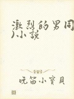 激烈的男同(h)小说