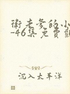 卫老爹的小船1-46集免费观看