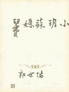 儿媳苏玥小说免费