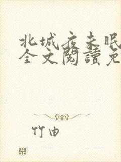 北城夜未眠小说全文阅读免费