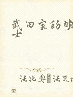 武田家的明国武士