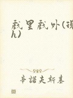 戏里戏外(现场h)