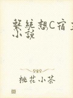 系统想C宿主的小说