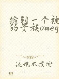 捡到一个被抹布的贵族omega