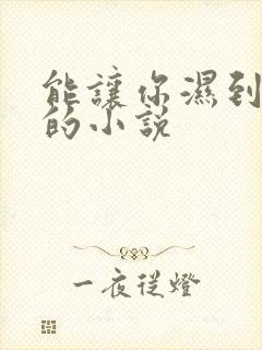 能让你湿到不行的小说