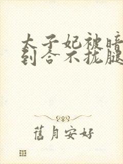 太子妃被暗卫C到合不拢腿