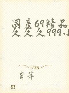 国产69精品久久久久999小说