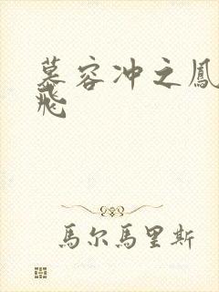 慕容冲之凤凰于飞