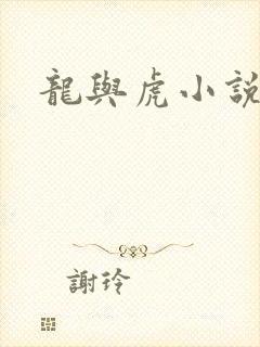 龙与虎小说