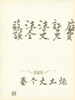 苏沫沫许庭川小说全文免费阅读