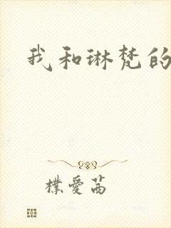 我和琳梵的故事