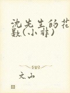 沈先生的花式调数(小非)