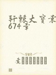 轩辕大宝袁雪妃674章