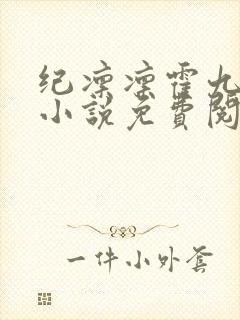 纪凛凛霍九霖的小说免费阅读在线