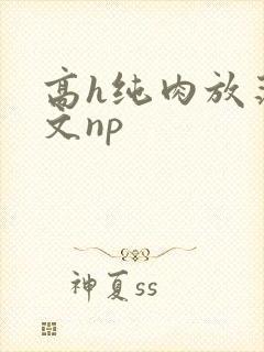 高h纯肉放荡h文np