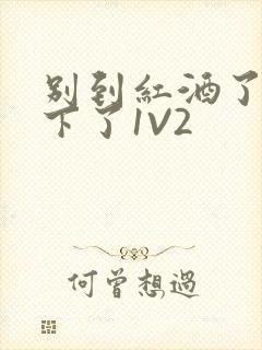 别到红酒了装不下了1V2