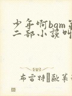 少年啊bgm第二部小说叫什么