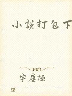 小说打包下载