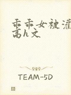 乖乖女被灌满精高h文