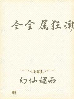 全金属狂潮小说