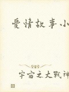 爱情故事小说