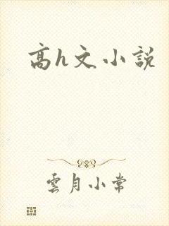 高h文小说
