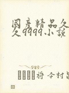 国产精品久久久久9999小说