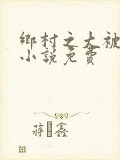 乡村之大被同眠小说免费