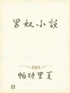 男奴小说
