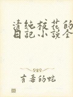 清纯校花的堕落日记小说全文免费阅读