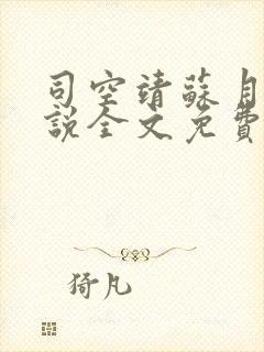 司空靖苏月汐小说全文免费阅读