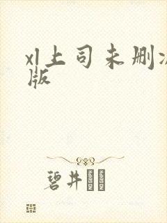 xl上司未删减版