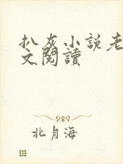 扒灰小说老马全文阅读