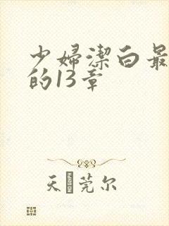 少妇洁白最刺激的13章