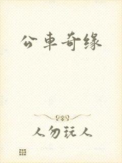 公车奇缘