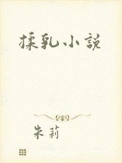 揉乳小说