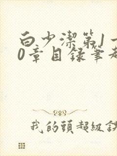 白少洁第1一40章目录笔趣阁