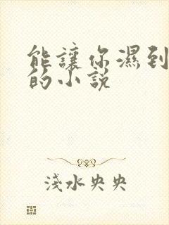 能让你湿到不行的小说