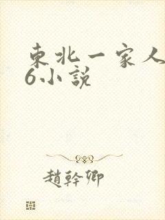 东北一家人1一6小说