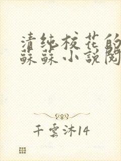 清纯校花的日常苏苏小说阅读全文